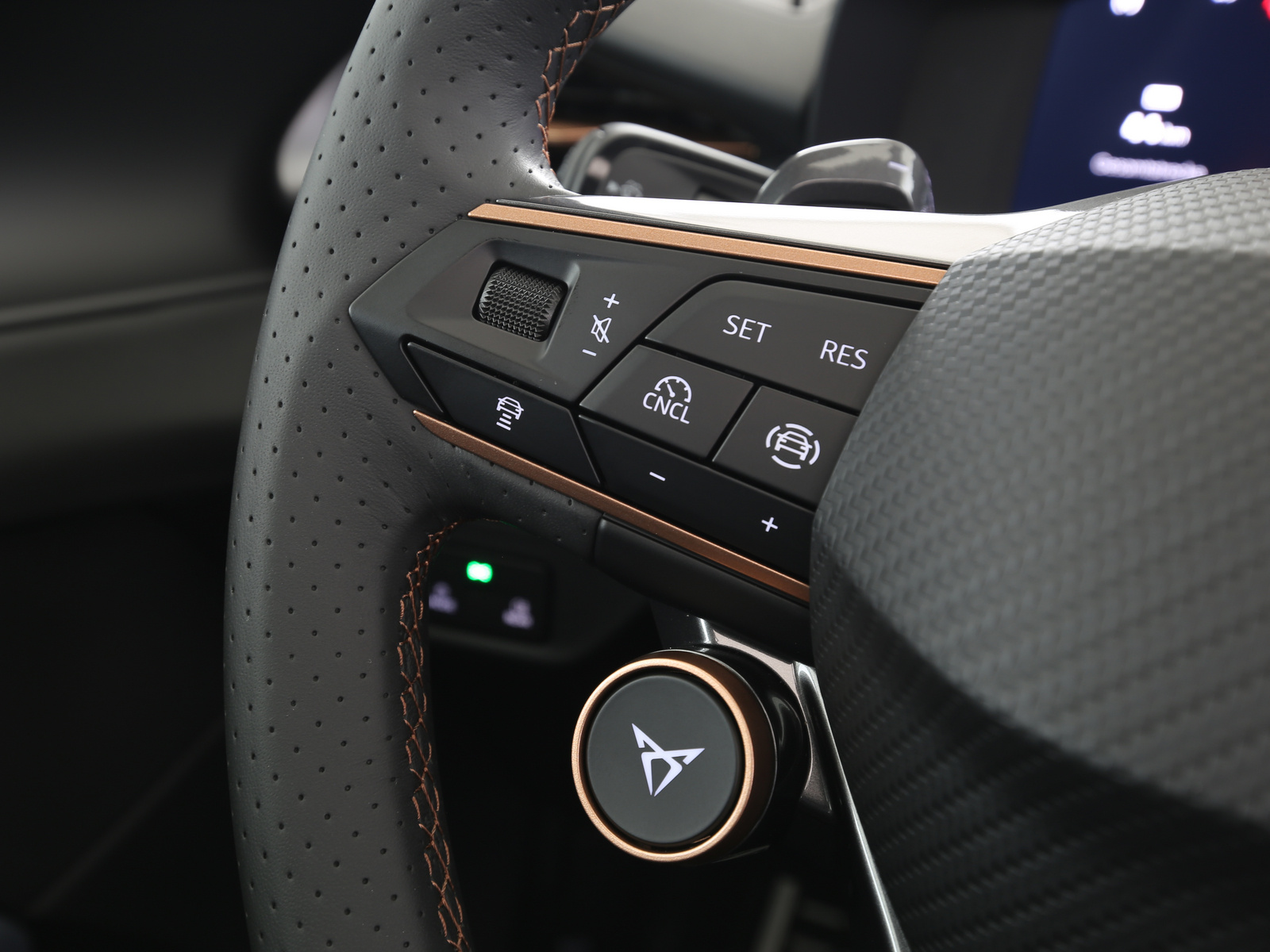 CUPRA Terramar - Bild 14