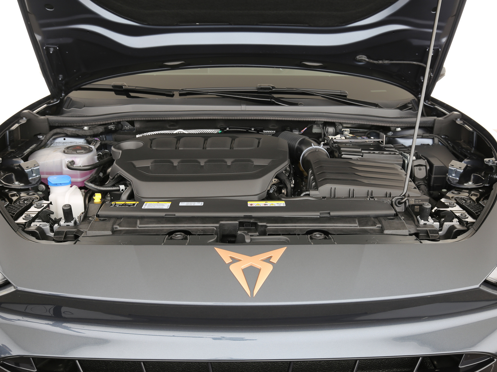 CUPRA Leon - Bild 24