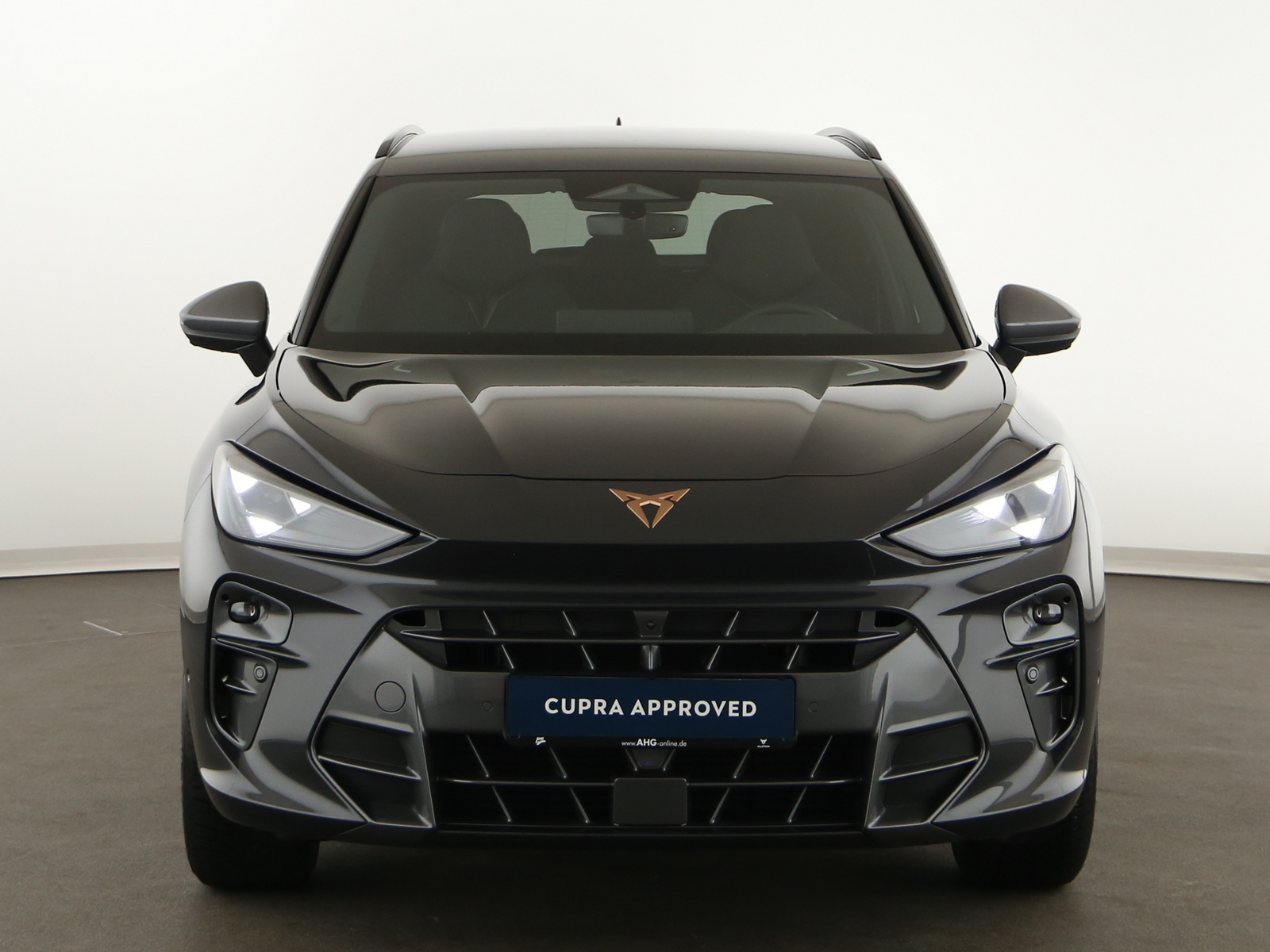 CUPRA Terramar - Bild 3