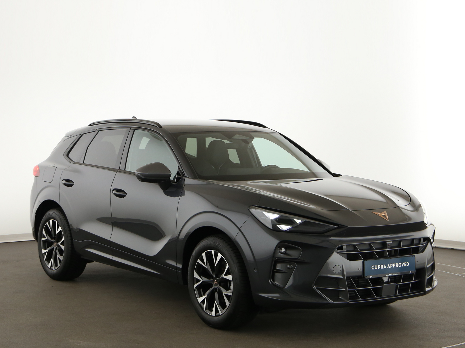 CUPRA Terramar - Bild 9